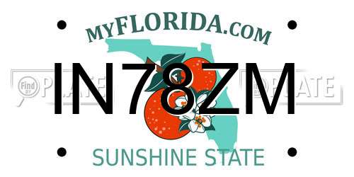 IN78ZM Florida License Plate