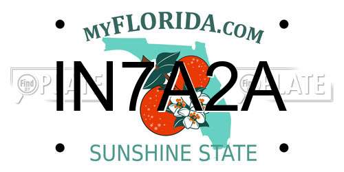 IN7A2A Florida License Plate