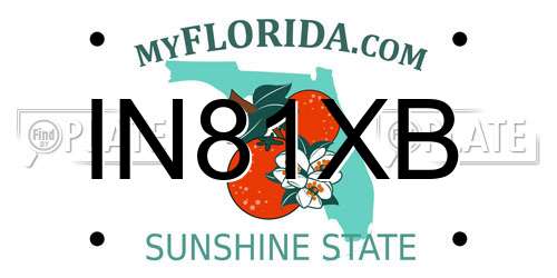 IN81XB Florida License Plate