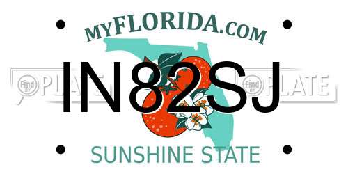 IN82SJ Florida License Plate