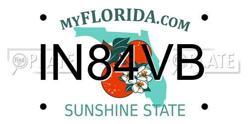 IN84VB Florida License Plate