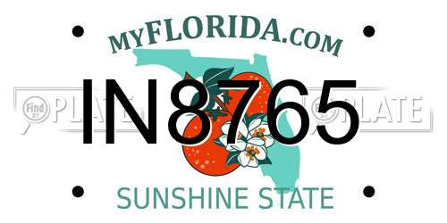IN8765 Florida License Plate