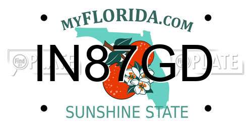 IN87GD Florida License Plate
