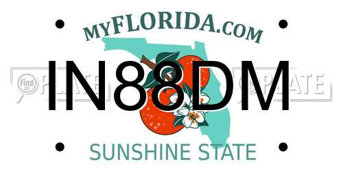 IN88DM Florida License Plate