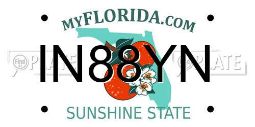IN88YN Florida License Plate