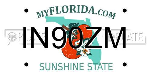 IN90ZM Florida License Plate