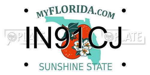 IN91CJ Florida License Plate