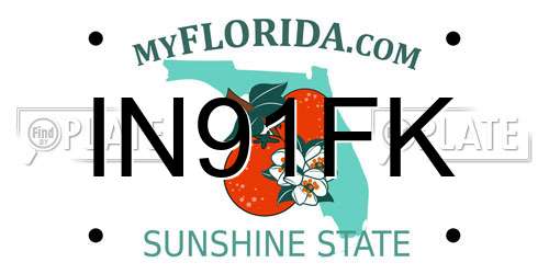 IN91FK Florida License Plate