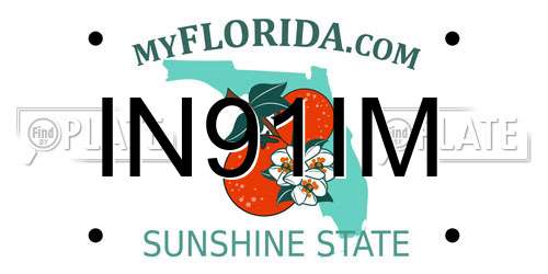 IN91IM Florida License Plate