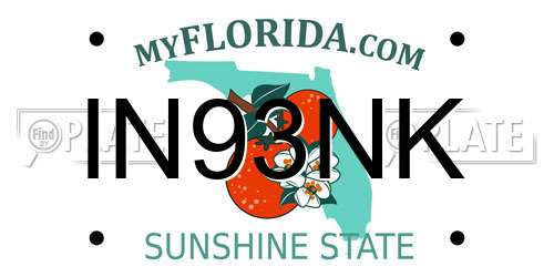IN93NK Florida License Plate