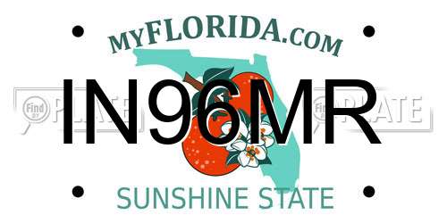 IN96MR Florida License Plate