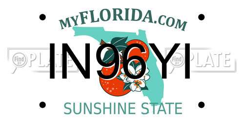 IN96YI Florida License Plate