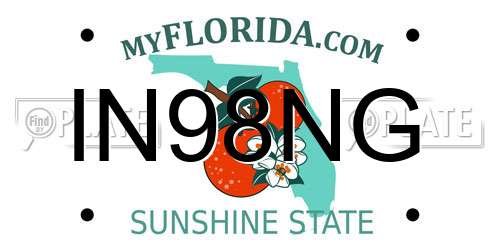 IN98NG Florida License Plate