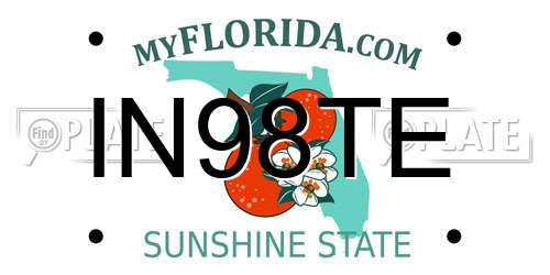 IN98TE Florida License Plate