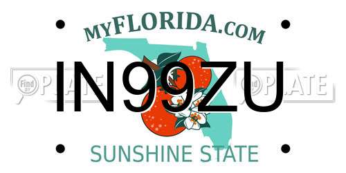 IN99ZU Florida License Plate