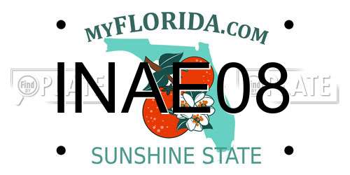 INAE08 Florida License Plate