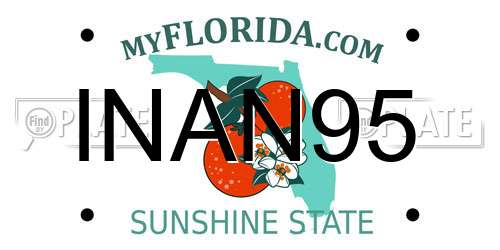 INAN95 Florida License Plate