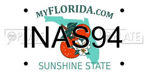 INAS94 Florida License Plate