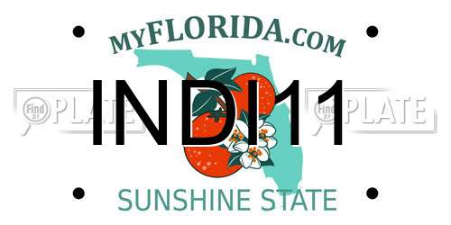 INDI11 Florida License Plate