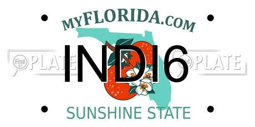 INDI6 Florida License Plate