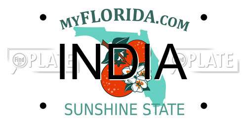 INDIA Florida License Plate