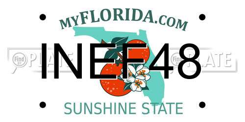 INEF48 Florida License Plate