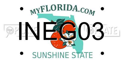 INEG03 Florida License Plate