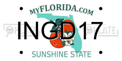 INGD17 Florida License Plate