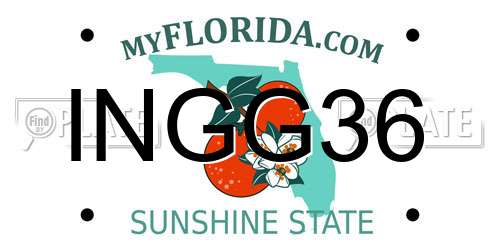 INGG36 Florida License Plate