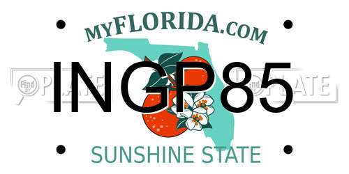 INGP85 Florida License Plate