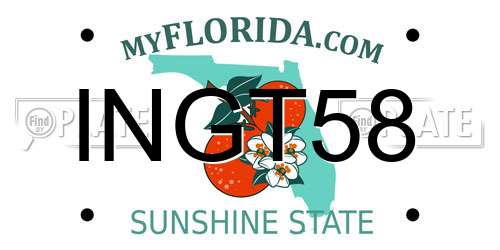 INGT58 Florida License Plate