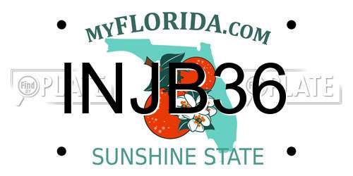 INJB36 Florida License Plate