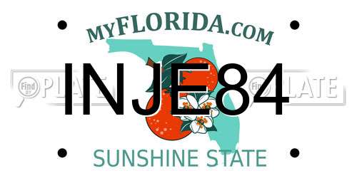 INJE84 Florida License Plate