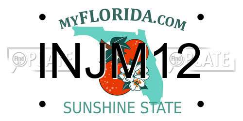 INJM12 Florida License Plate