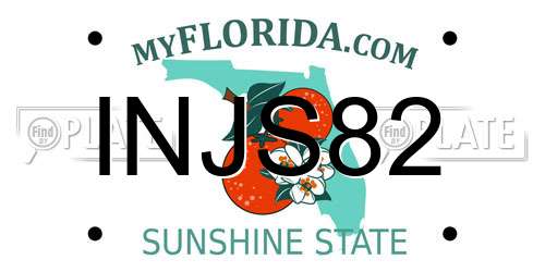 INJS82 Florida License Plate