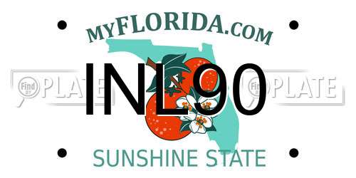 INL90 Florida License Plate