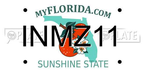 INMZ11 Florida License Plate