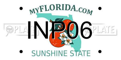 INP06 Florida License Plate