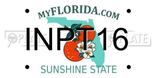 INPT16 Florida License Plate