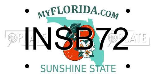 INSB72 Florida License Plate
