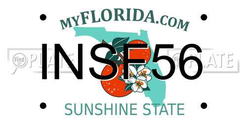 INSF56 Florida License Plate