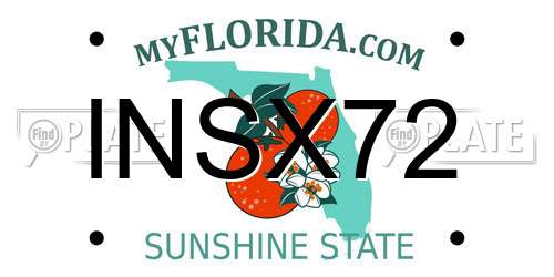 INSX72 Florida License Plate