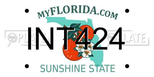 INT424 Florida License Plate