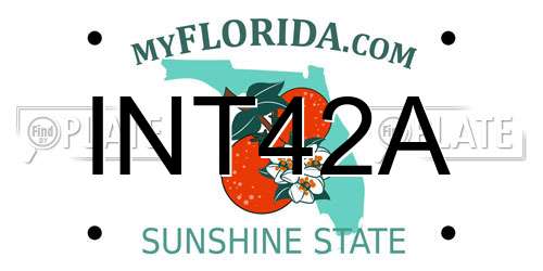 INT42A Florida License Plate