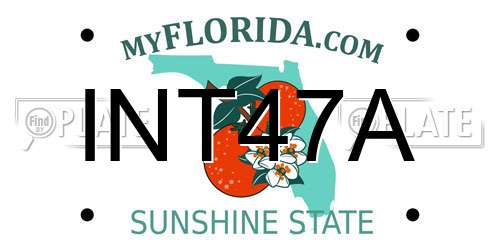 INT47A Florida License Plate