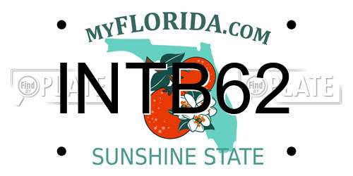 INTB62 Florida License Plate