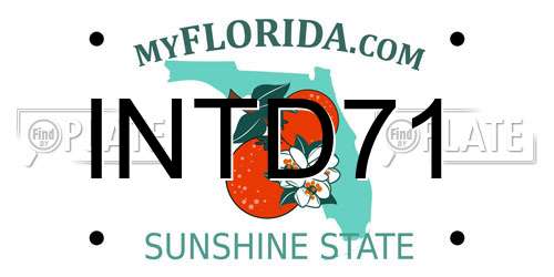 INTD71 Florida License Plate