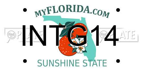 INTG14 Florida License Plate