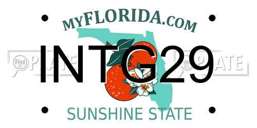 INTG29 Florida License Plate