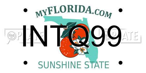 INTQ99 Florida License Plate